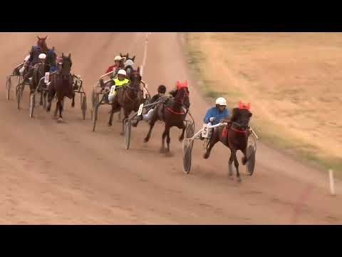 2022.07.23. 08. futam - 2022. ÉVI KINCSEM PARK KUPA VI. FUTAMA HENDIKEP