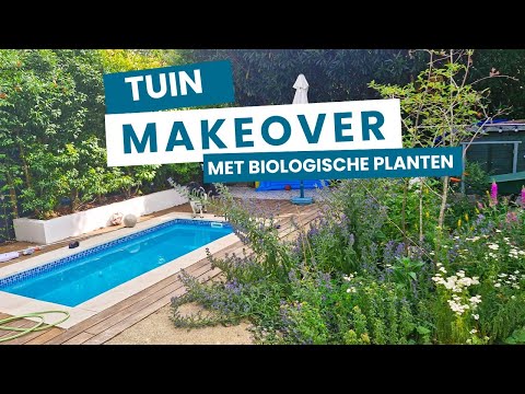 Tuin Renovatie met Zwembad:  Zo Maak je Een Droomtuin uit de Provence met een volledige makeover
