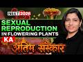 Sexual Reproduction In Flowering Plants Last Hope Revision Ritu Rattewal Neet2026 Neet