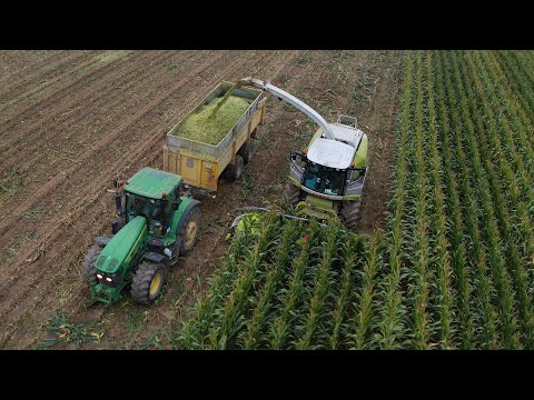 Sklizeň silážní kukuřice, Agropodnik Košetice | Rok zemědělce