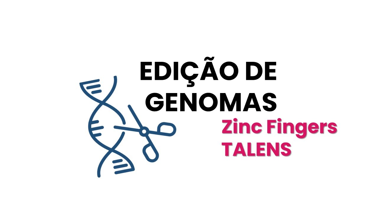 O que é Edição Gênica? - Zinc Fingers e TALENs