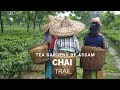 Assam Tea Estate Chai In Assam Chai Street In Kolkota