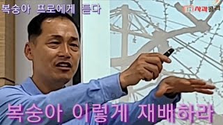 [복숭아재배] 이 한컷만 바꾸면 나무도 웃을것. 일1/3로 줄어든다