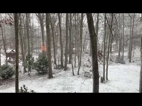 Snow jackson nj 12/16/2020