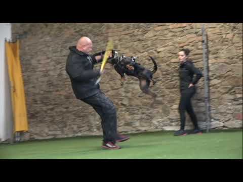 Eržika European K9 training base & her daughter Helga European K9 training base