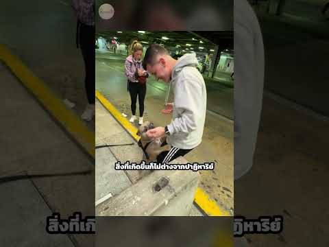 น้ำตาไหลเลย 😥