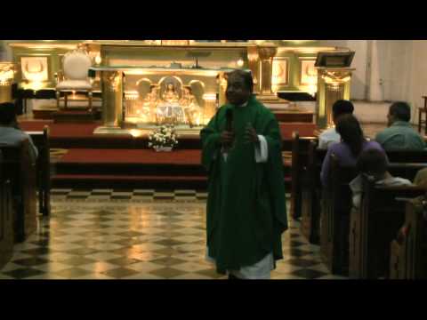 Evangelio y Homilía 07_08_11