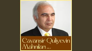 Sevirəm Demədim (feat. Aygün Kazımova)