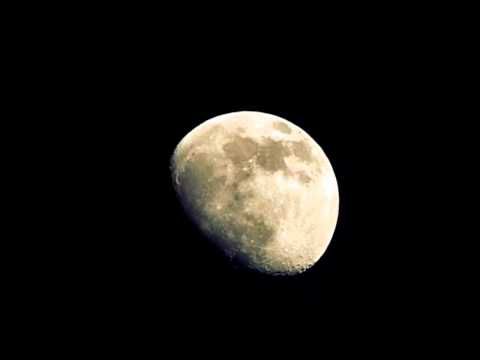 Moonlight Sonata (Marcus Miller version) HQ