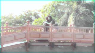 &quot;Human&quot; MV Cover (I am Human; By Brian Buckley Band)