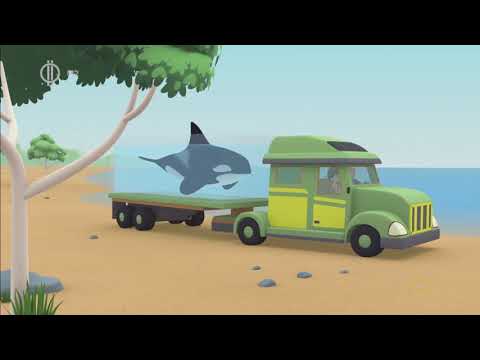 Leo, az ifjú vadőr - Az orka