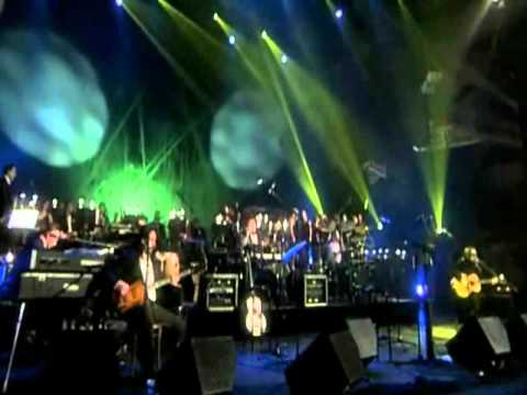 Lucie - Dobrá kočka která nemlsá ( Lucie v Opeře )
