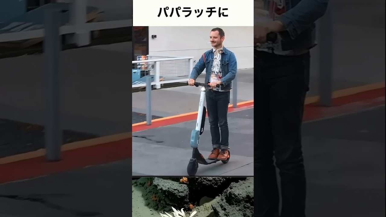 パパラッチが撮影した面白い海外セレブの写真 #Shorts #海外セレブ