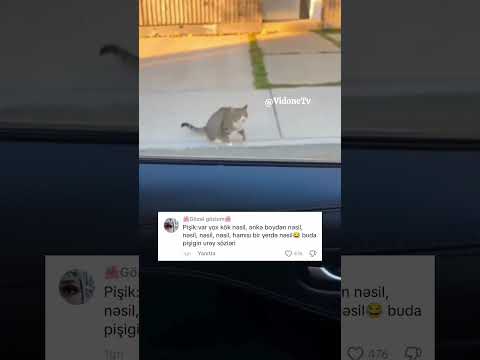 Yapay zekadan uje diksinirem..