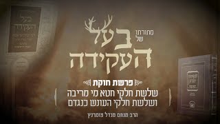 הרב מנחם מנדל פומרנץ | מתורתו של בעל העקידה - פרשת חוקת • שלשת חלקי חטא מי מריבה ושלשת חלקי העונש •