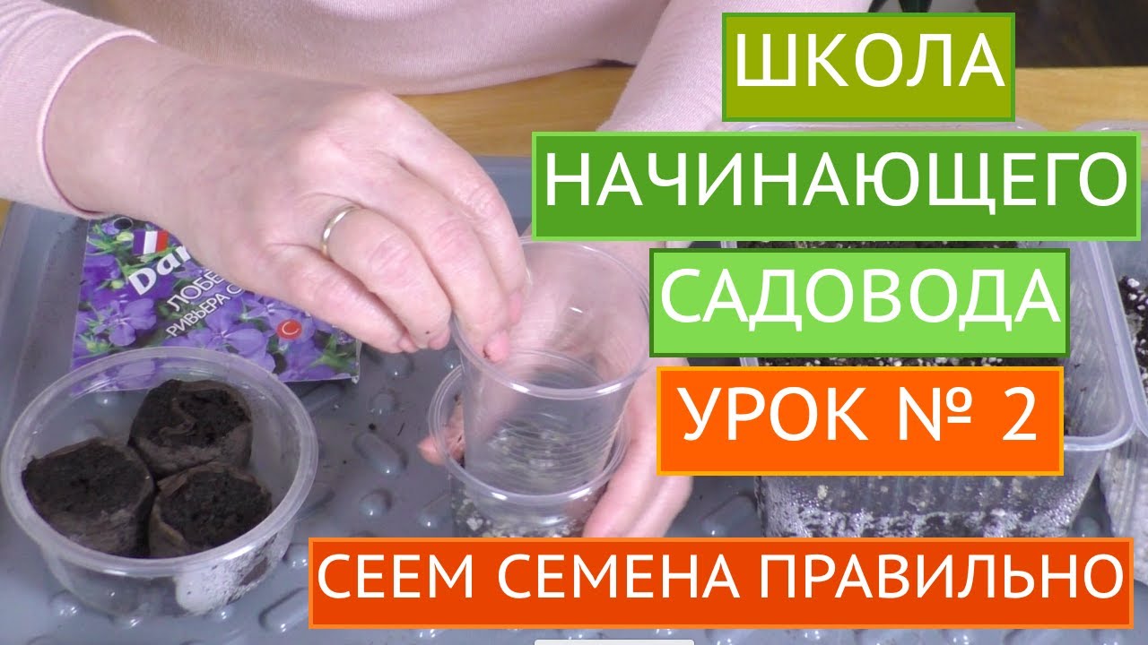Как правильно сеять семена разных размеров!