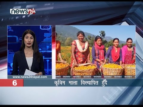 EVENING NEWS FATAFAT - NEWS24 TV