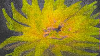 A Symphony of Yellow in a Solitary Flower -- contemporary classical harmonica by Paul. 3-D video.