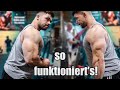 Der beste Trainingsplan?! (Arm Workout & Tipps)