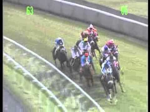 ACCELERATE (R.JOORAWON) - MOHAMMAD MOORAD KEERPAH - FREE HORSE RACING TIPS