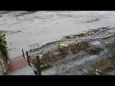 Aielo de Malferit (Clariano) 12-10-2019