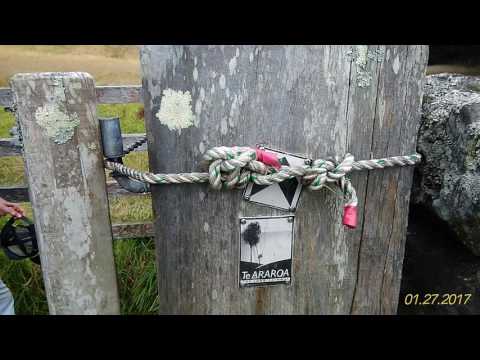 William Chan - On the way to Otuataua Stonefields NZ 2017