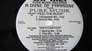 A Dose Of Paradise Pres. Pure Musik - Feel The Muzik (Transparent Mix)