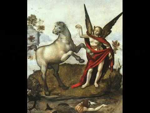 DI COSIMO PIERO 1462 1521  HAUTE RENAISSANCE