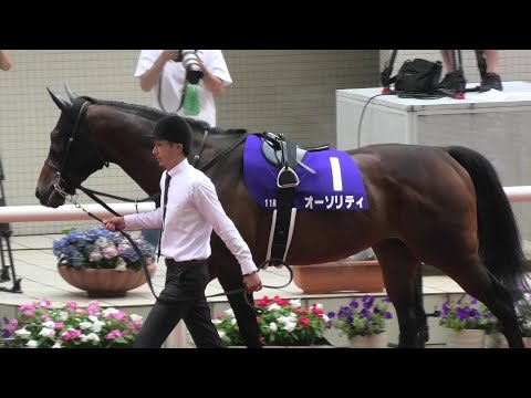 オーソリティ、宝塚記念のパドック。現地映像、阪神競馬場。２０２２年６月２６日