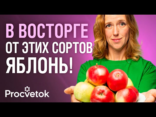 ЕСЛИ БЫ НУЖНО БЫЛО ПОСАДИТЬ ТОЛЬКО 3 ЯБЛОНИ, то я выбрала бы эти сорта!