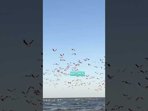 Descubrí Playa Grande en Marull😍