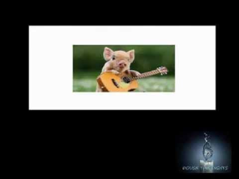 What's The Catch (Douse The Lights Original)