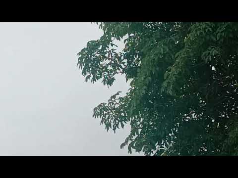 NC356 BNE - MOV overcast flyover