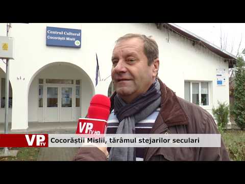 Cocorăștii Mislii, tărâmul stejarilor seculari