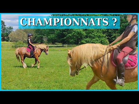 QUALIFIÉS POUR LES CHAMPIONNATS DE FRANCE ? 🟦◻️🟥- On révise pour le prochaine CCE