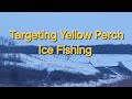 Video Thumbnail for Targeting Yellow Perch Ice Fishing.