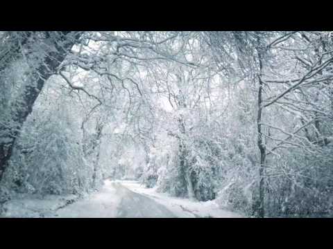 Blizzard Sounds for Sleep, Relaxation & Staying Cool | Snowstorm Sounds & Howling Wind in the Forest