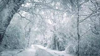 Blizzard Sounds for Sleep, Relaxation &amp; Staying Cool | Snowstorm Sounds &amp; Howling Wind in the Forest