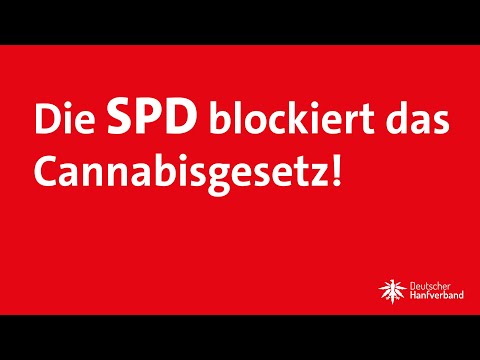 Video Thumbnail: Die SPD blockiert das Cannabisgesetz