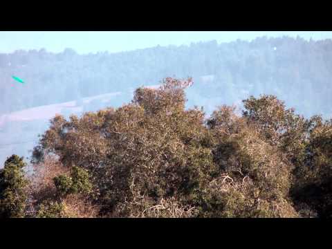 NorCal Series Championships Part 1