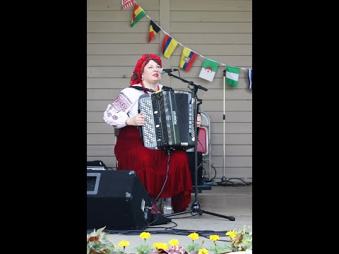 Two Christmas songs баян chromatic accordion