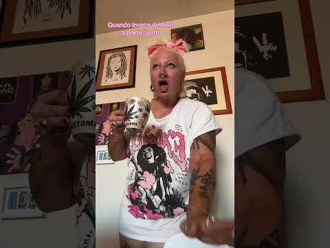 PIÙ MICIOS MENO MACHOS😏💖😼 #aliroots #cat #micio #macho