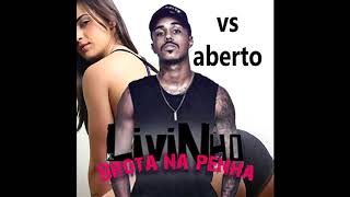 MC Livinho   Brota na Penha MULTIPISTA