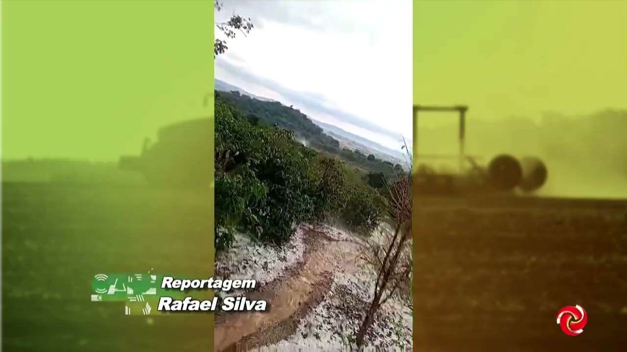 CNC orienta produtores de café após chuvas de granizo no Sul de Minas