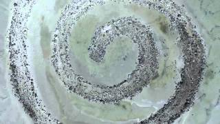 Spiral Jetty