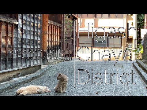 Kanazawa TODAY: Higashi Chaya District (今日の金沢：ひがし茶屋街)