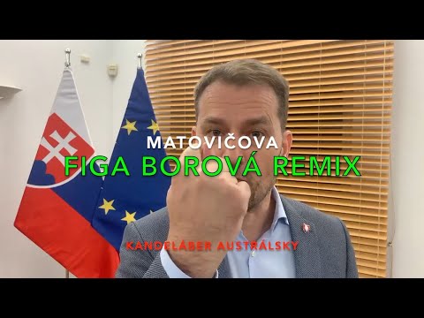 MATOVIČ - FIGA BOROVÁ (REMIX)