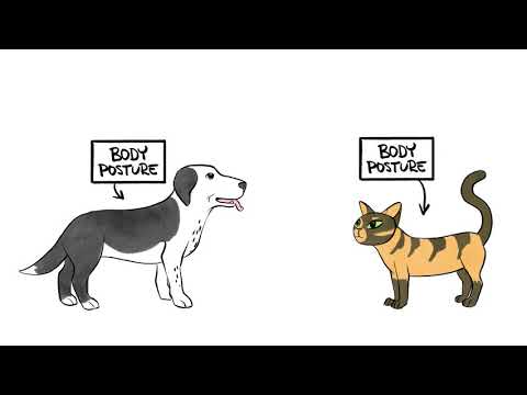 What Can Your Body Communicate to Your Pet?