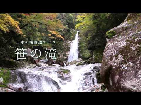【心身再生の郷　十津川】十津川村の錦秋