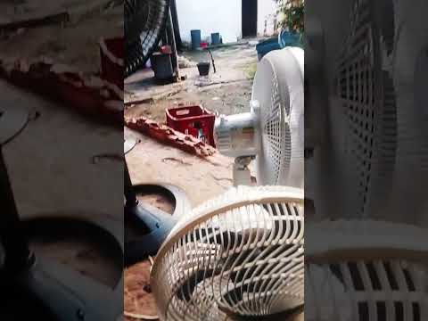 oficina do Zé em Duque Bacelar Maranhão